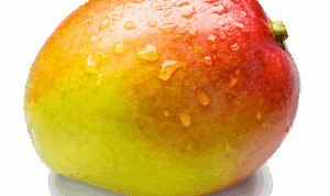 Sliced Fresh Mango Isolated on White Background - High Quality Free ...