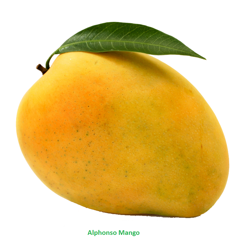 King Mango Free Stock Photo - Public Domain Pictures King Mango Free Stock Photo - Public Domain Pictures