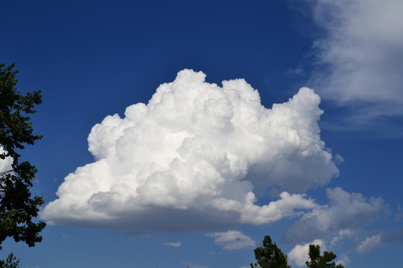 Large White Cumulus Cloud Free Stock Photo - Public Domain Pictures Large White Cumulus Cloud Free Stock Photo - Public Domain Pictures